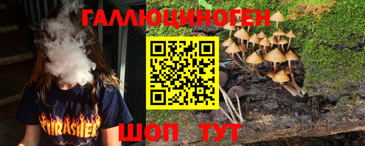 Галлюциногенные грибы Psilocybine cubensis Обь